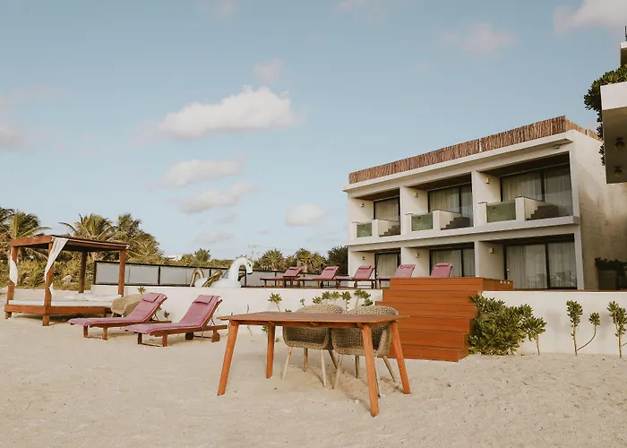 O' Riviera Maya (adults Only) Hotel